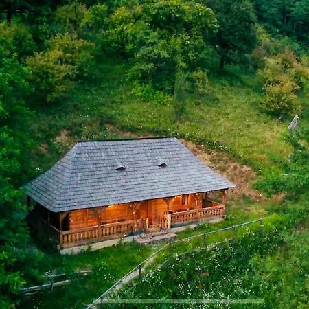 Casuta Bunicilor Villa Viseu de Jos Bagian luar foto
