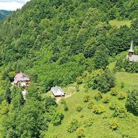 Casuta Bunicilor Villa Viseu de Jos Bagian luar foto