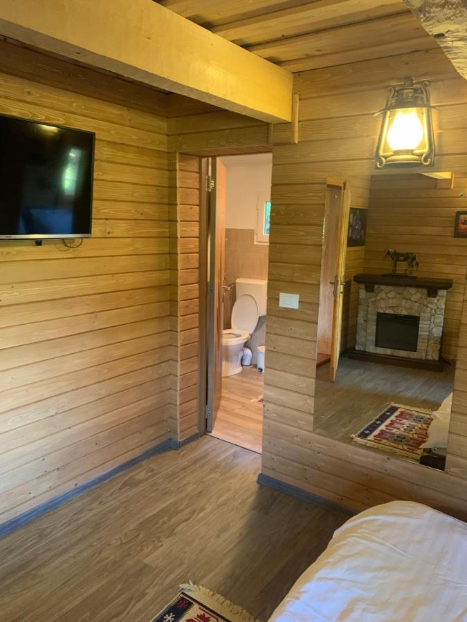 Casuta Bunicilor Villa Viseu de Jos Bagian luar foto