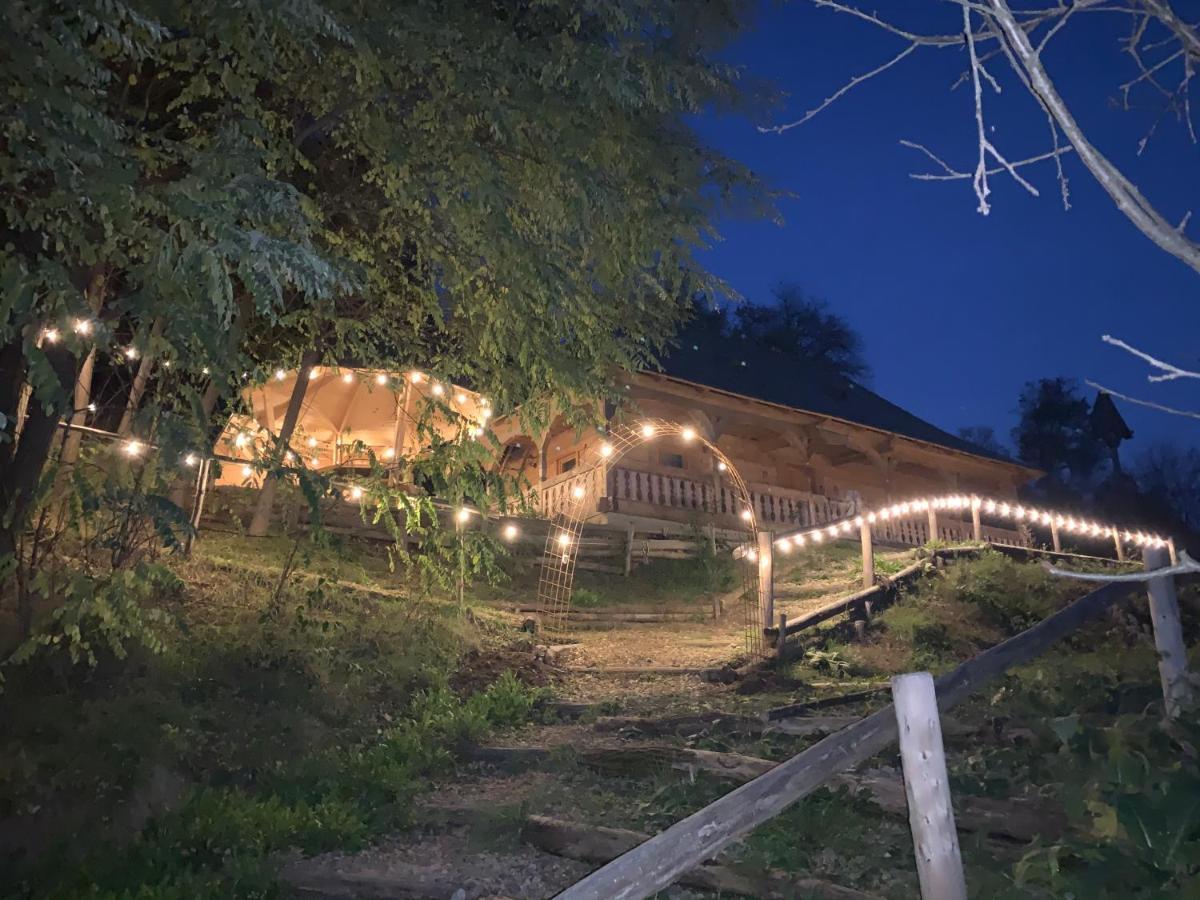 Casuta Bunicilor Villa Viseu de Jos Bagian luar foto