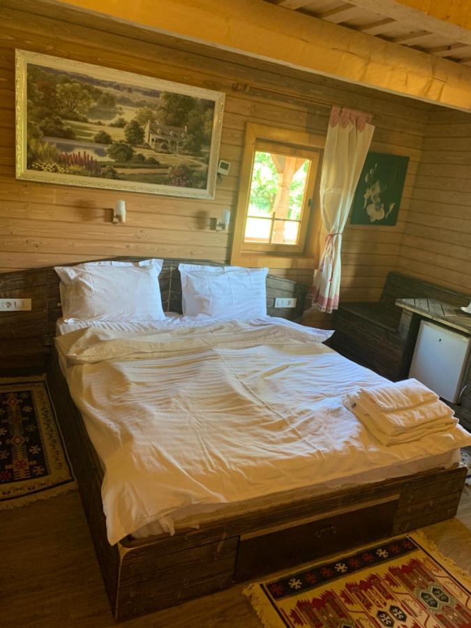 Casuta Bunicilor Villa Viseu de Jos Bagian luar foto