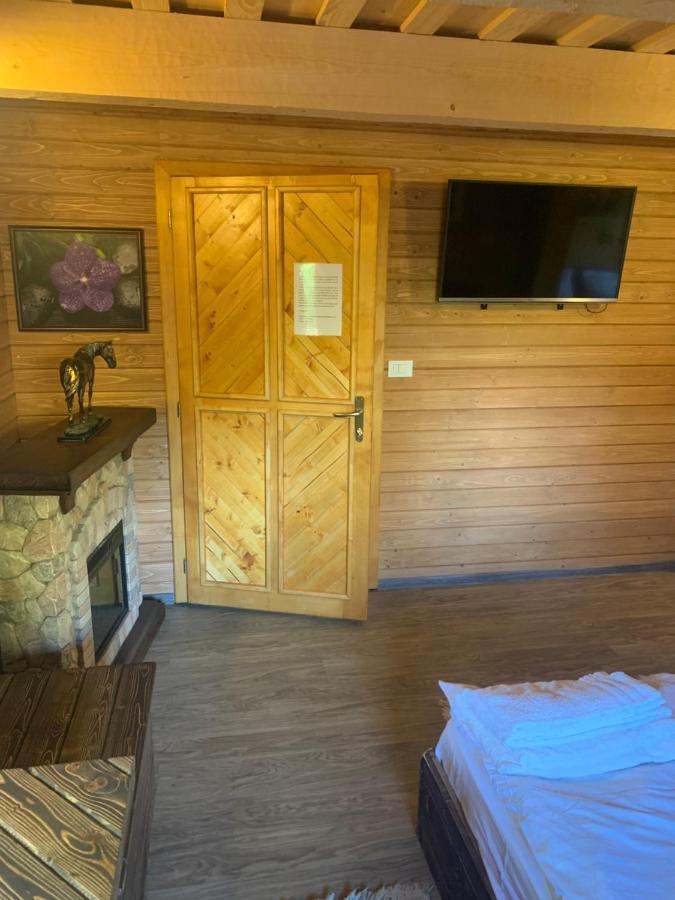 Casuta Bunicilor Villa Viseu de Jos Bagian luar foto